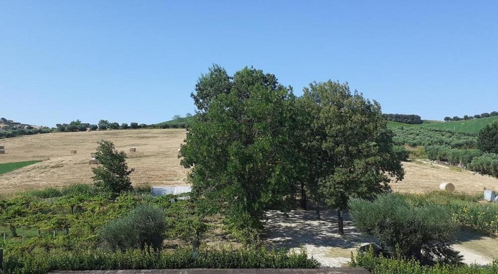 Pier Delle Vigne B&B Pineto Exterior foto