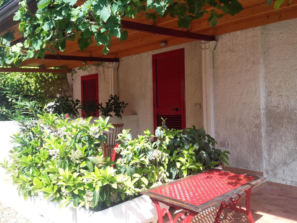 Pier Delle Vigne B&B Pineto Exterior foto