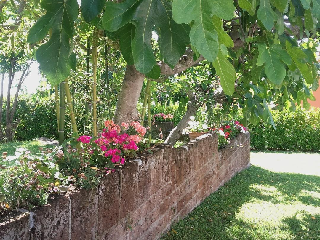 Pier Delle Vigne B&B Pineto Exterior foto