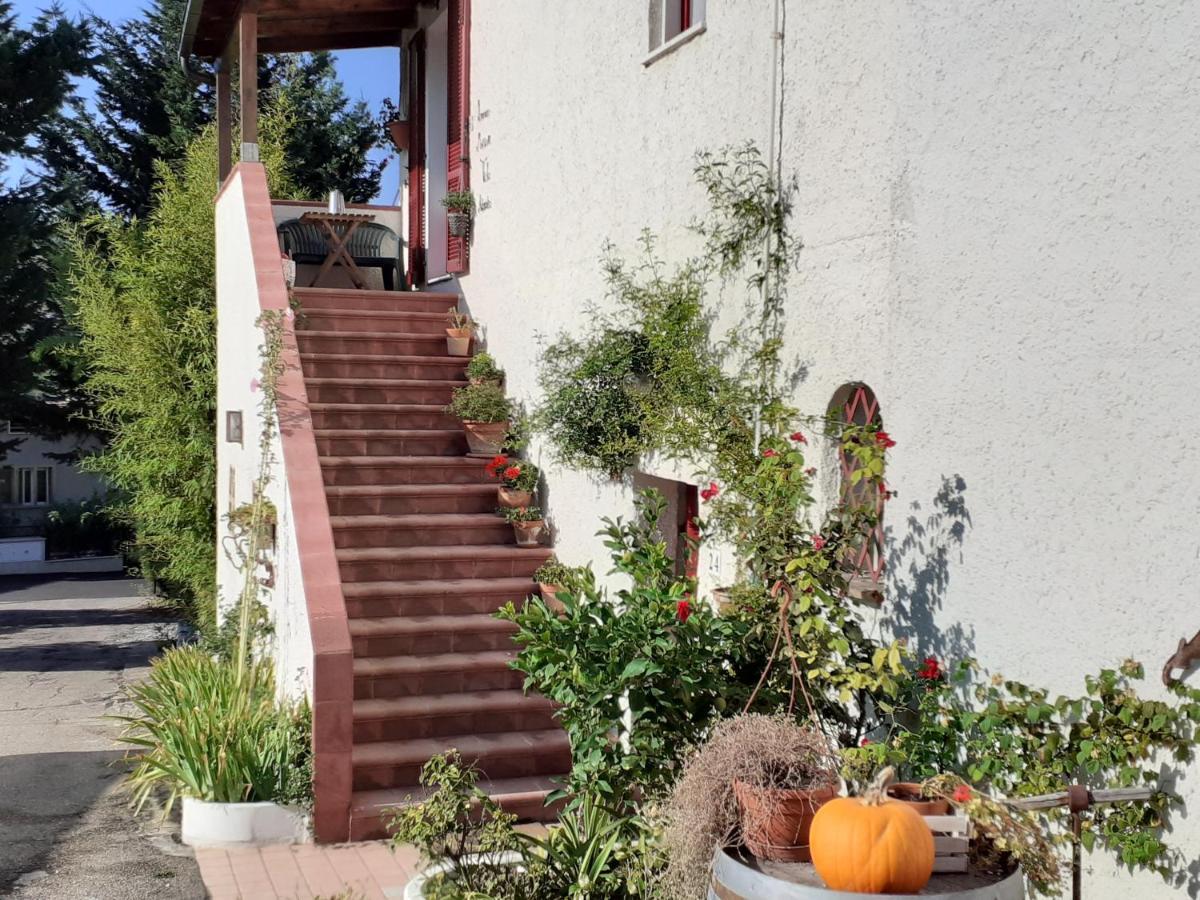 Pier Delle Vigne B&B Pineto Exterior foto
