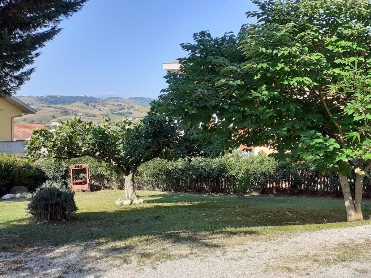 Pier Delle Vigne B&B Pineto Exterior foto