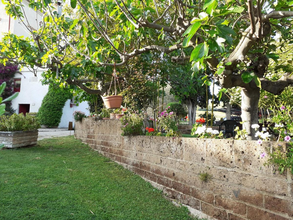 Pier Delle Vigne B&B Pineto Exterior foto