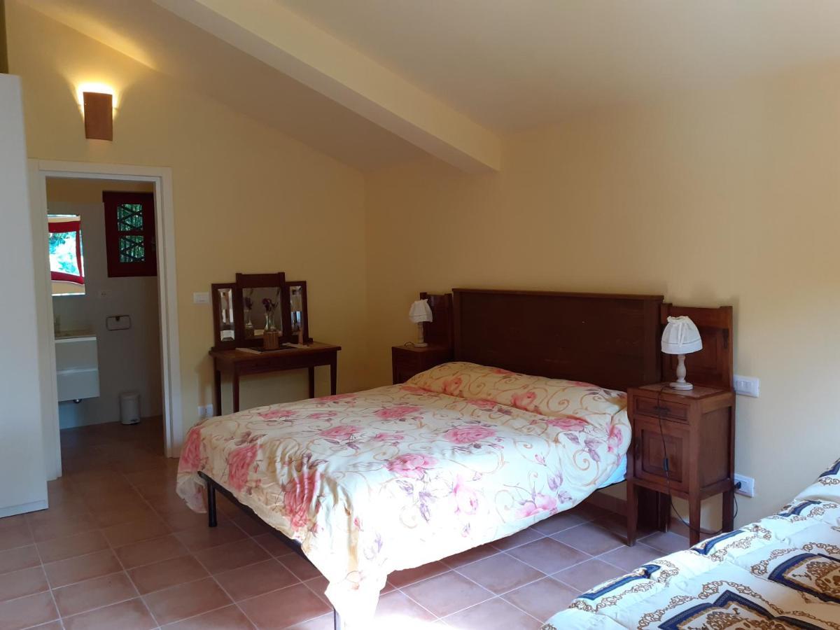 Pier Delle Vigne B&B Pineto Exterior foto
