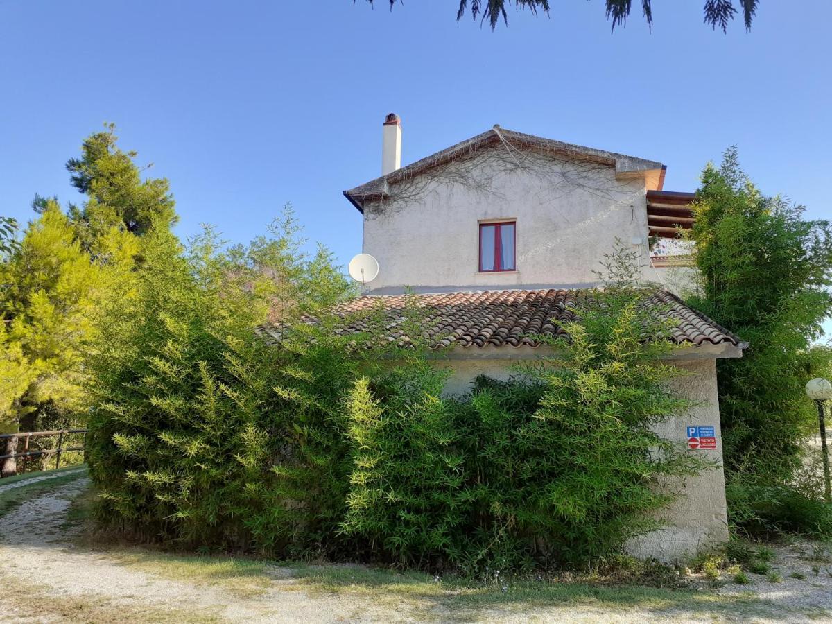 Pier Delle Vigne B&B Pineto Exterior foto