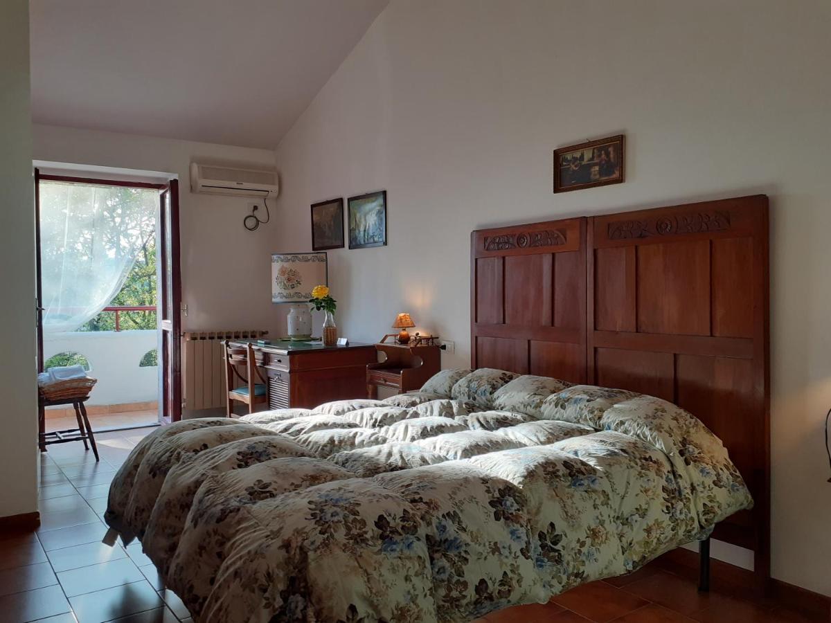 Pier Delle Vigne B&B Pineto Exterior foto